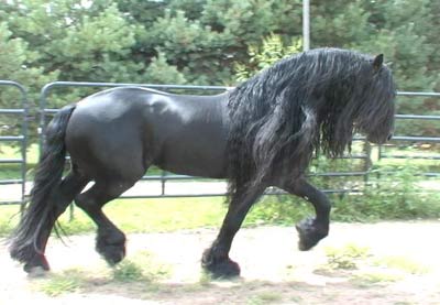 8969.jpg